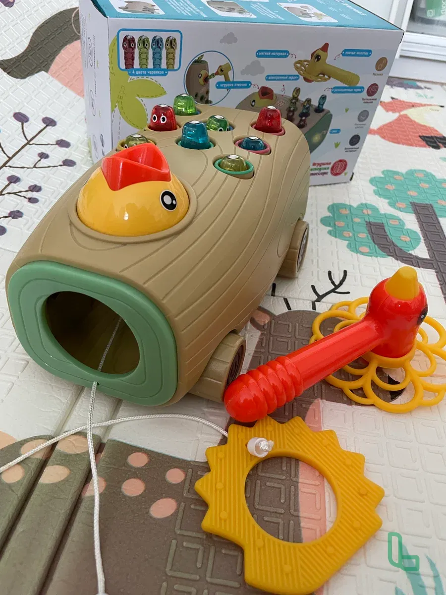 Развивающая Игрушка Сортер