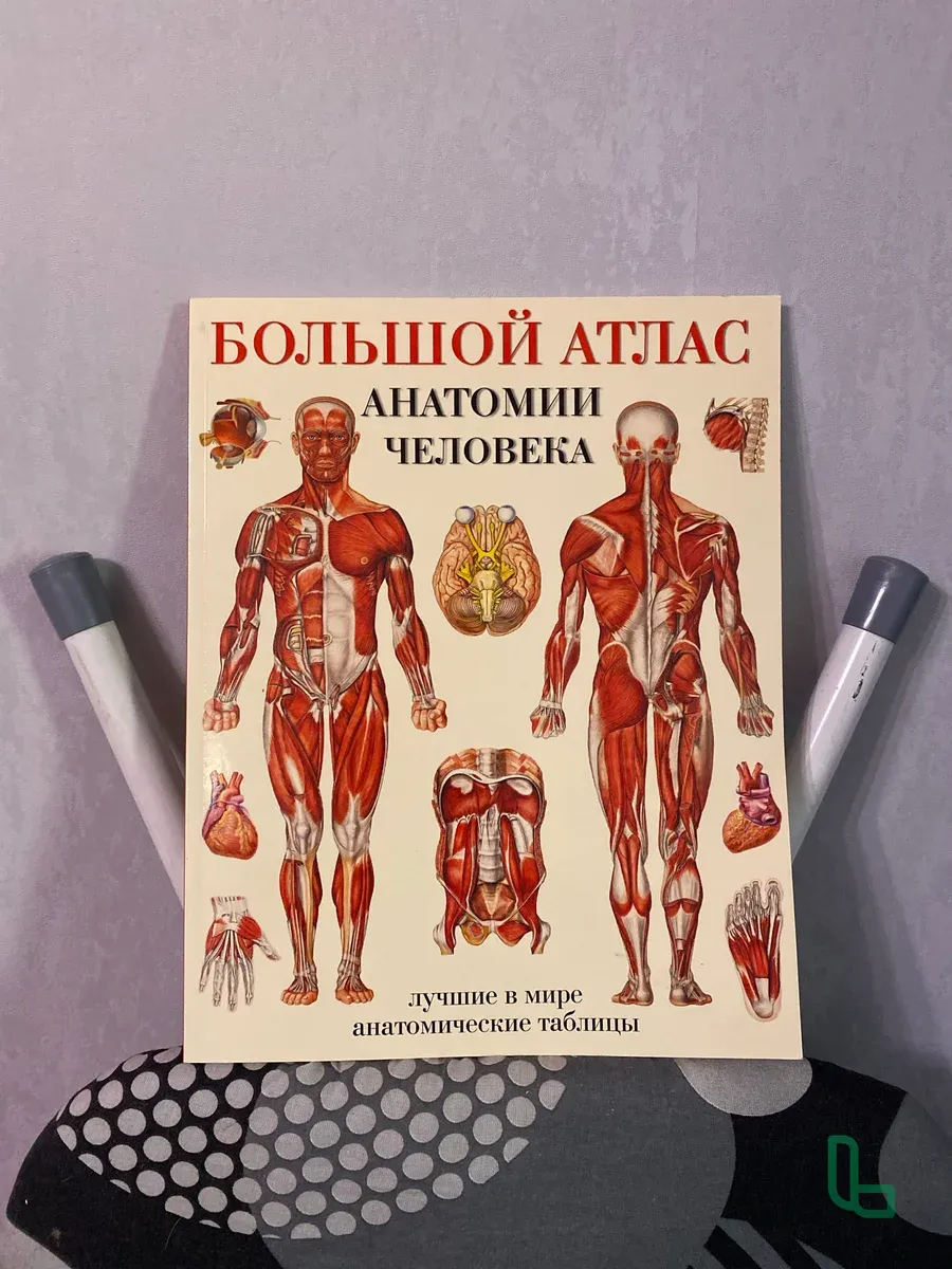 Большой атлас анатомии человека