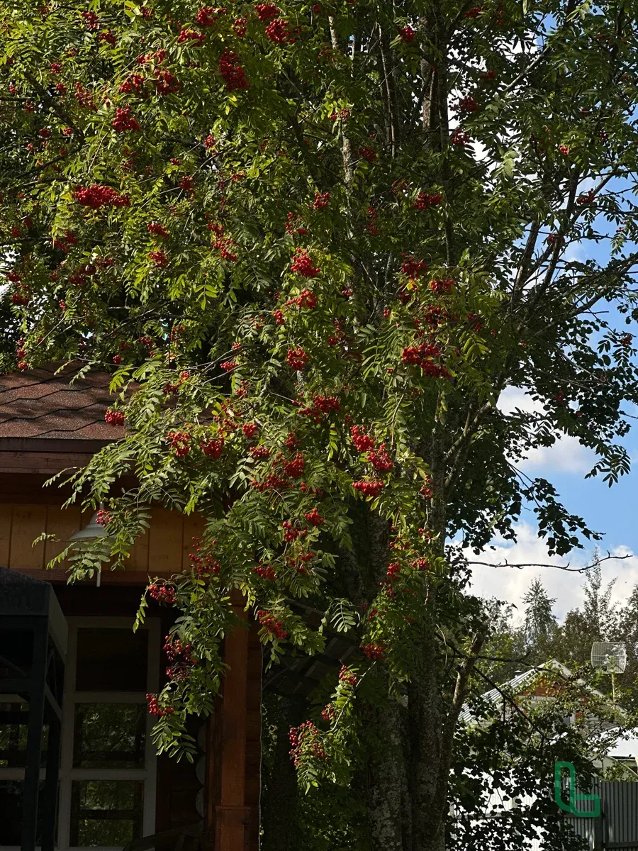 Питон. Анализ данных , машинное обучение