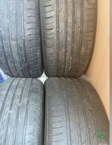Шины