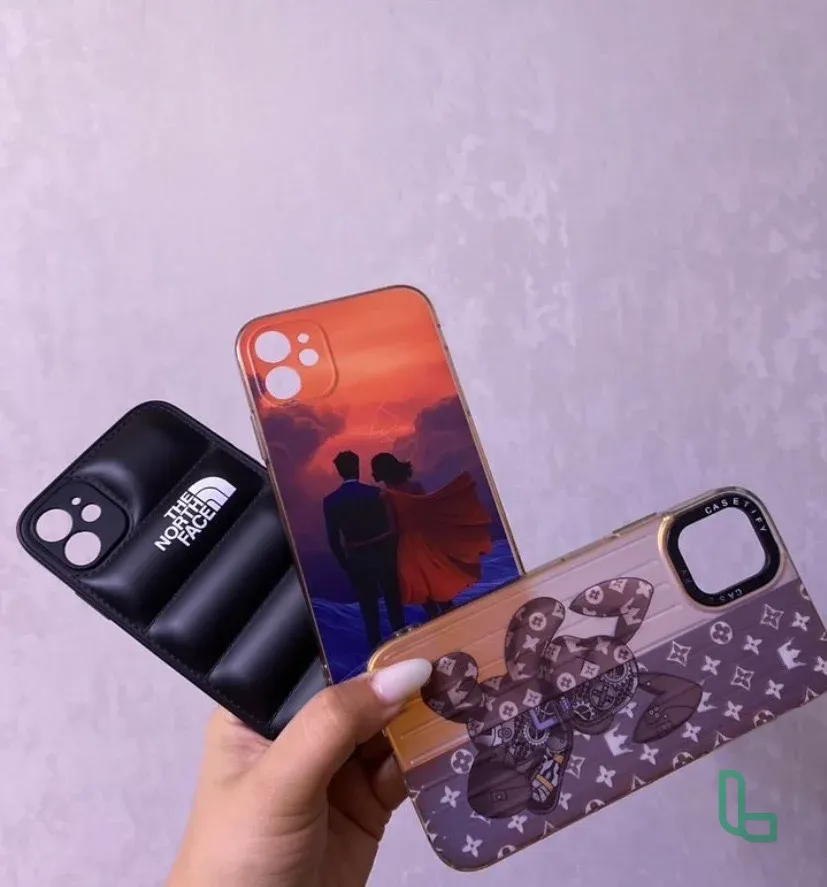 Чехлы для iPhone: North Face, Casetify