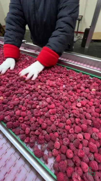 чистка малины