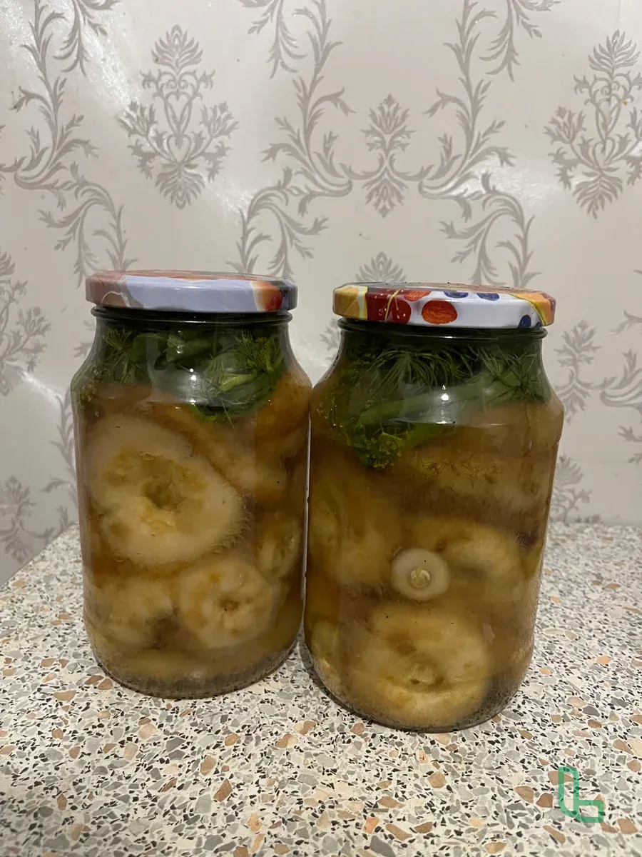 Грузди