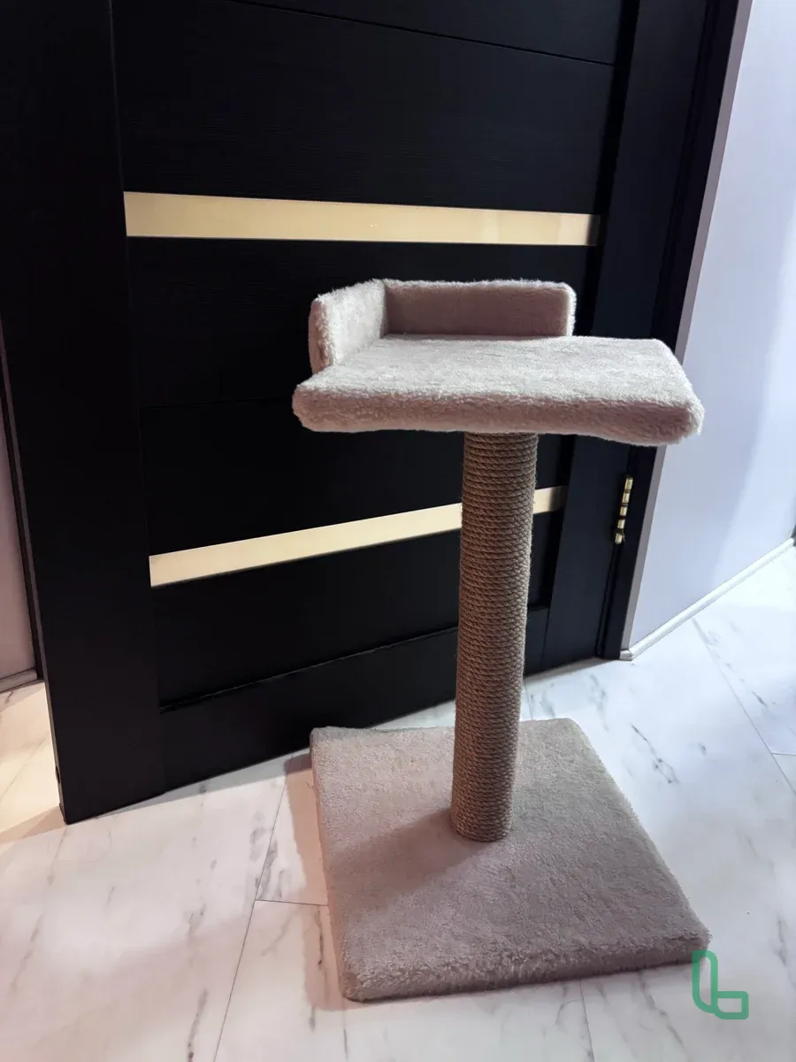 Когтеточка