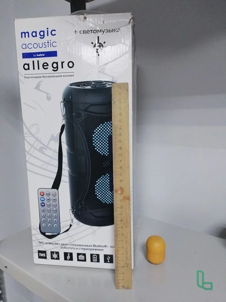 Портативная колонка Allegro с пультом и светомузык