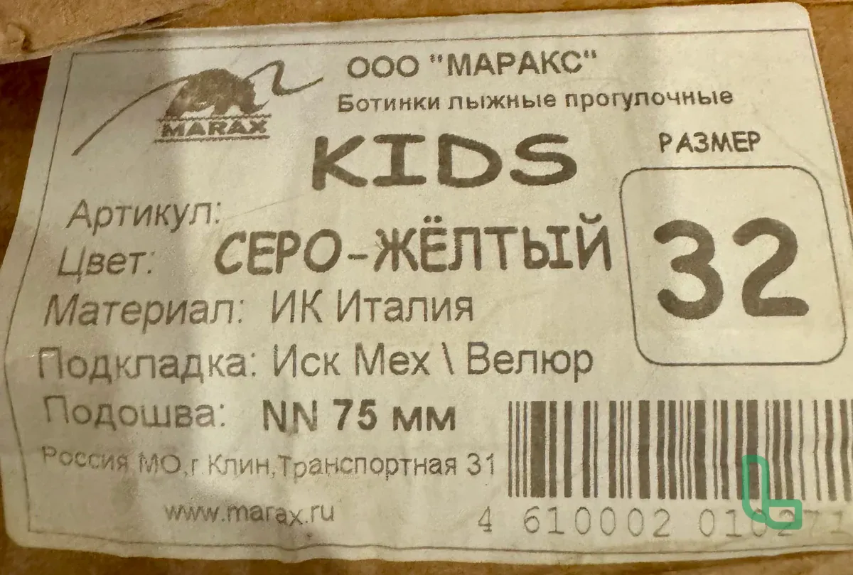 Лыжные ботинки