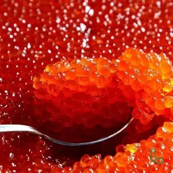 Красная Икра