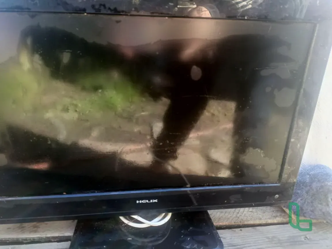 Телевизор Helix - 195L