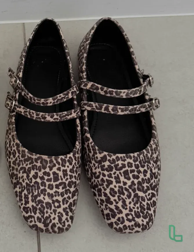 Туфли Балетки