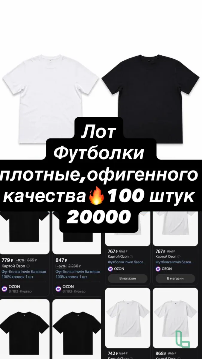 Лот футболок Inwin 100 шт
