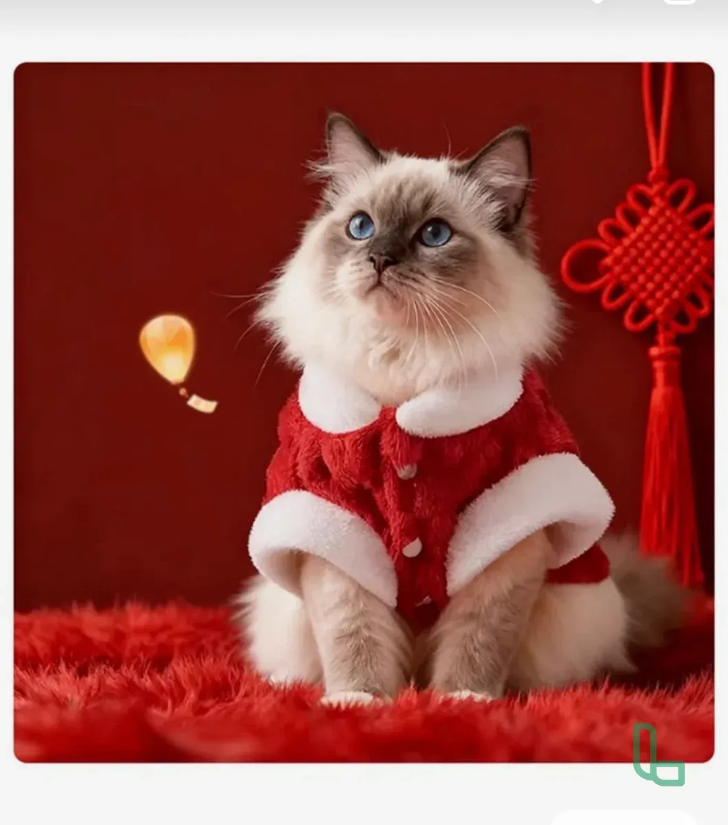 Костюм для кошки/собаки