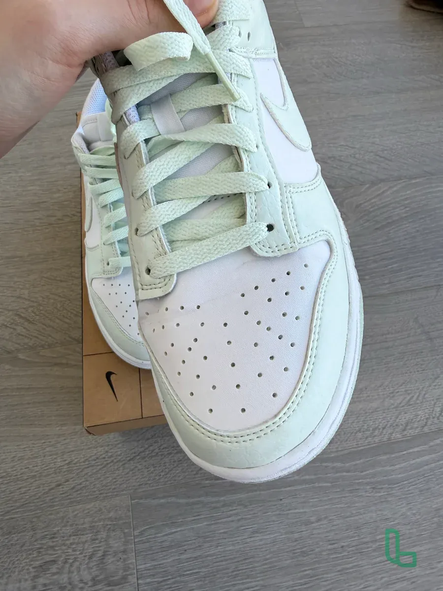 Nike dunk low next nature