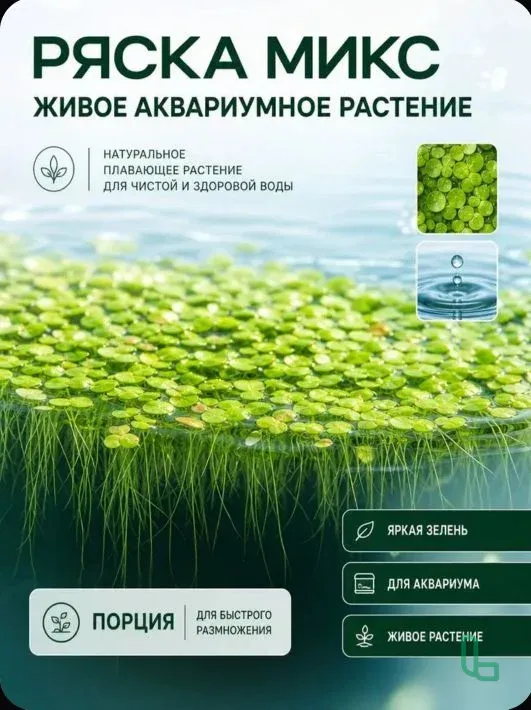 ряску для аквариума